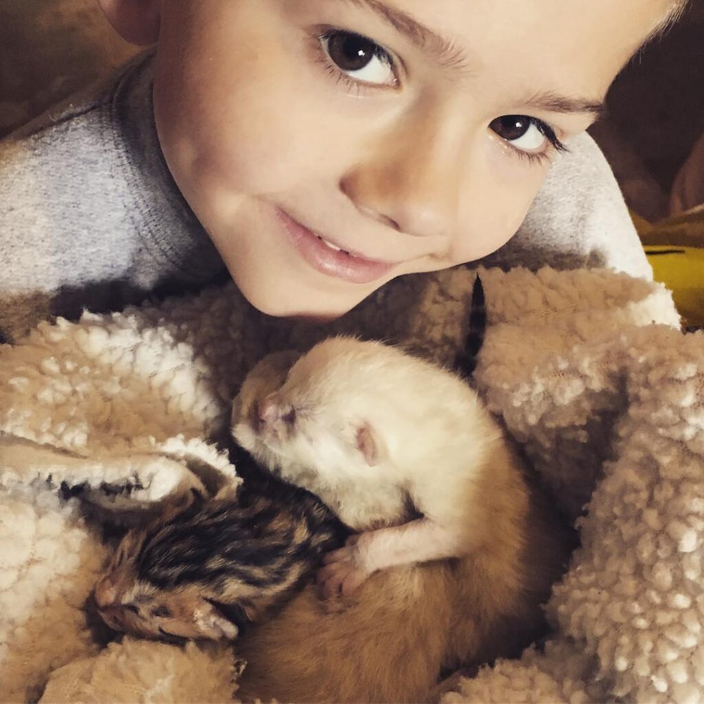 Girl holding kittens