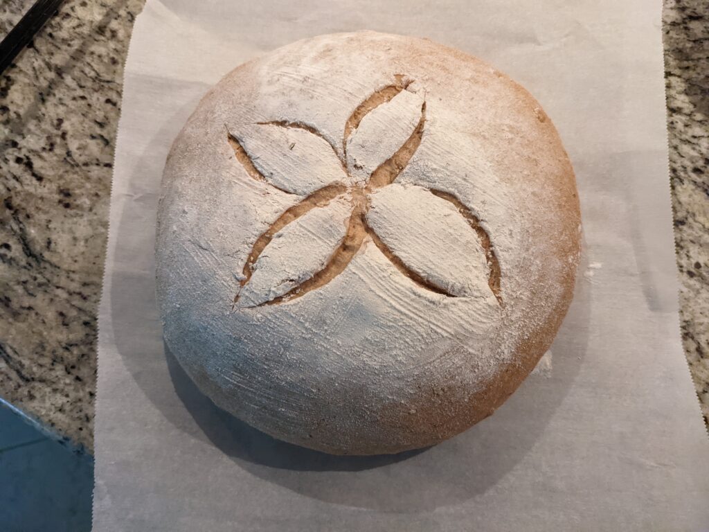 Risen dough scored for baking