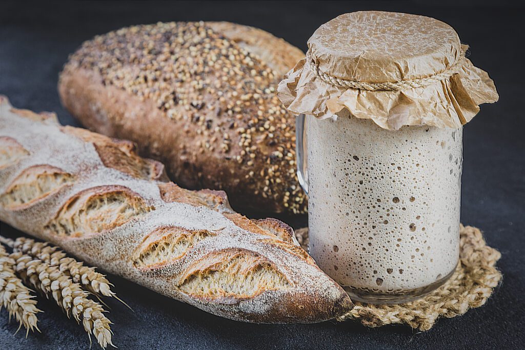 Jar of bubbly sourdough used in baking bread of all varieties