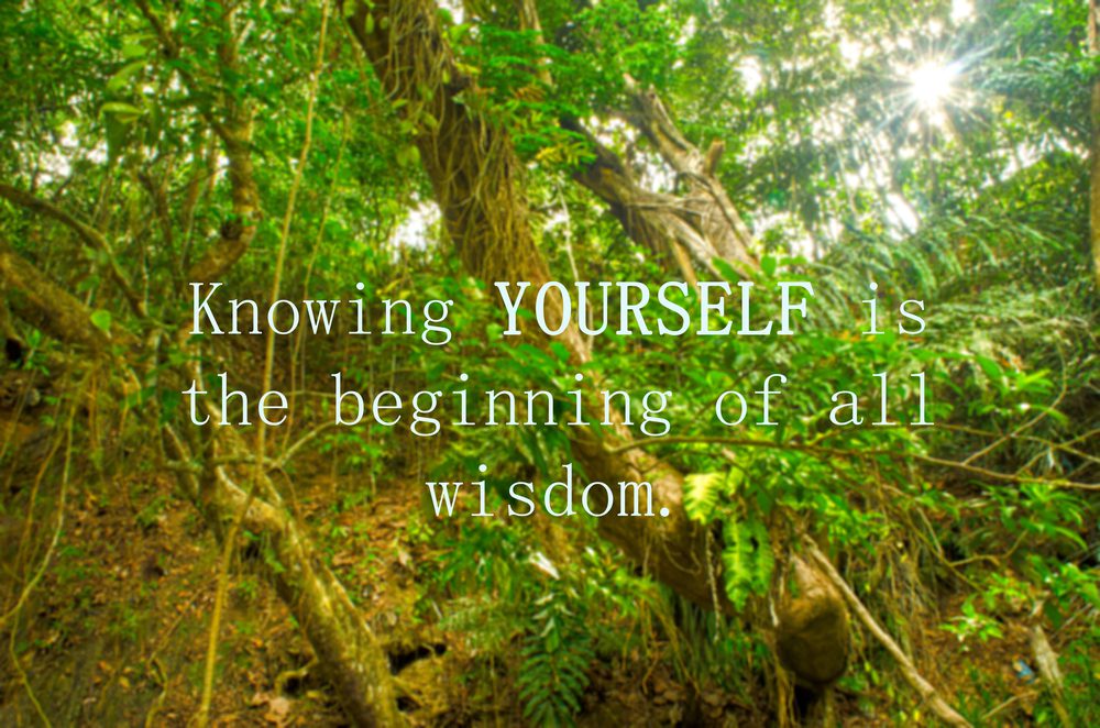 Knowing Yourself is the beginning of wisdom