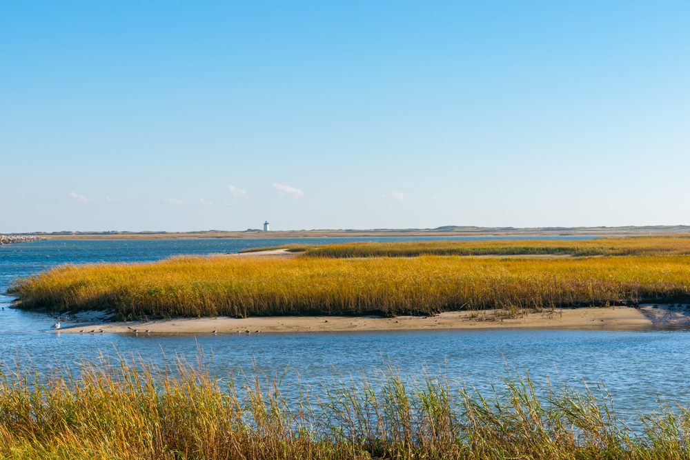 Walking in Cape Cod: Meditation and setting priorities helps me to live a meaningful life.