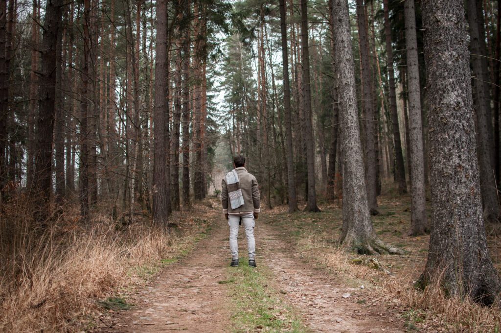 Man walking alone among tall trees