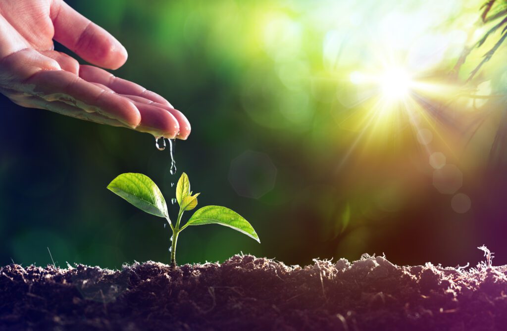 A hand watering a seedling can be an excellent visualization about potential and growth.
