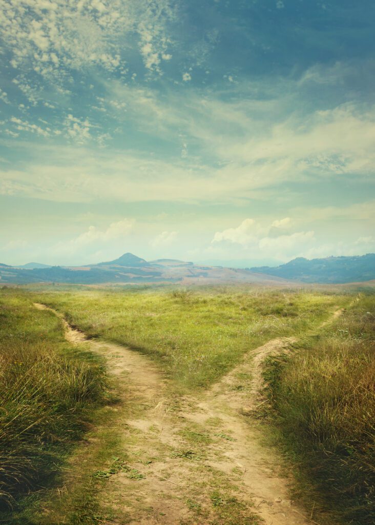 The Two Roads is a Meditation Exercise on making conscious choices. It reminds me of my inner compass. It is also helps me attain disattachment:  gaining distance from what no longer serves my purpose.